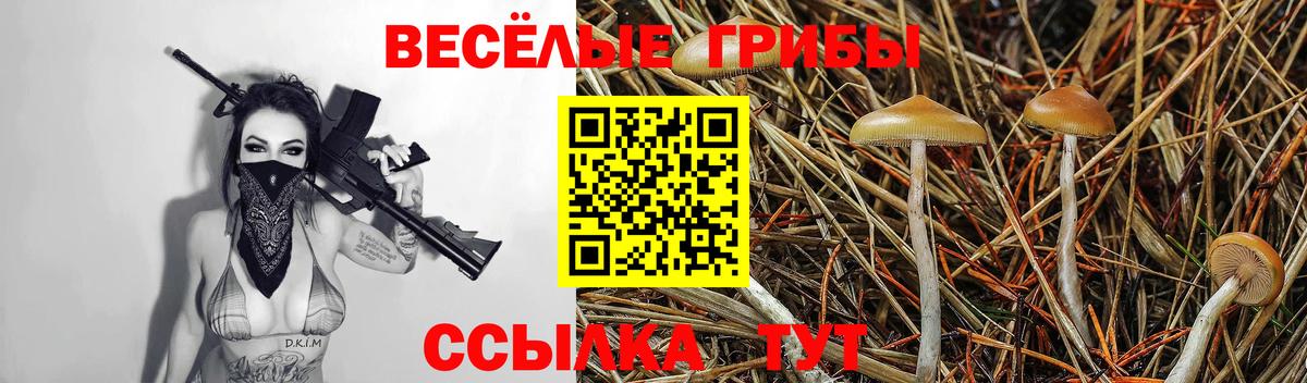 где продают наркотики  Вход с VPN  Октябрьский  Псилоцибиновые грибы Cubensis 